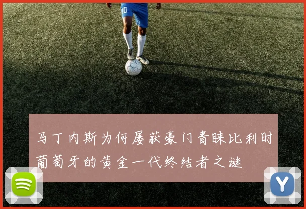 马丁内斯为何屡获豪门青睐比利时葡萄牙的黄金一代终结者之谜