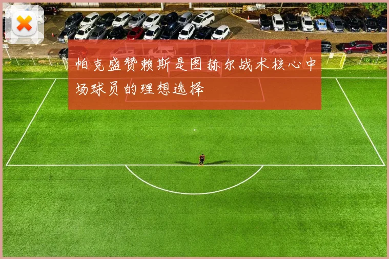 帕克盛赞赖斯是图赫尔战术核心中场球员的理想选择